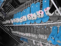 Blauw