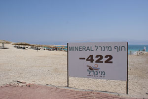 DSC08279.JPG