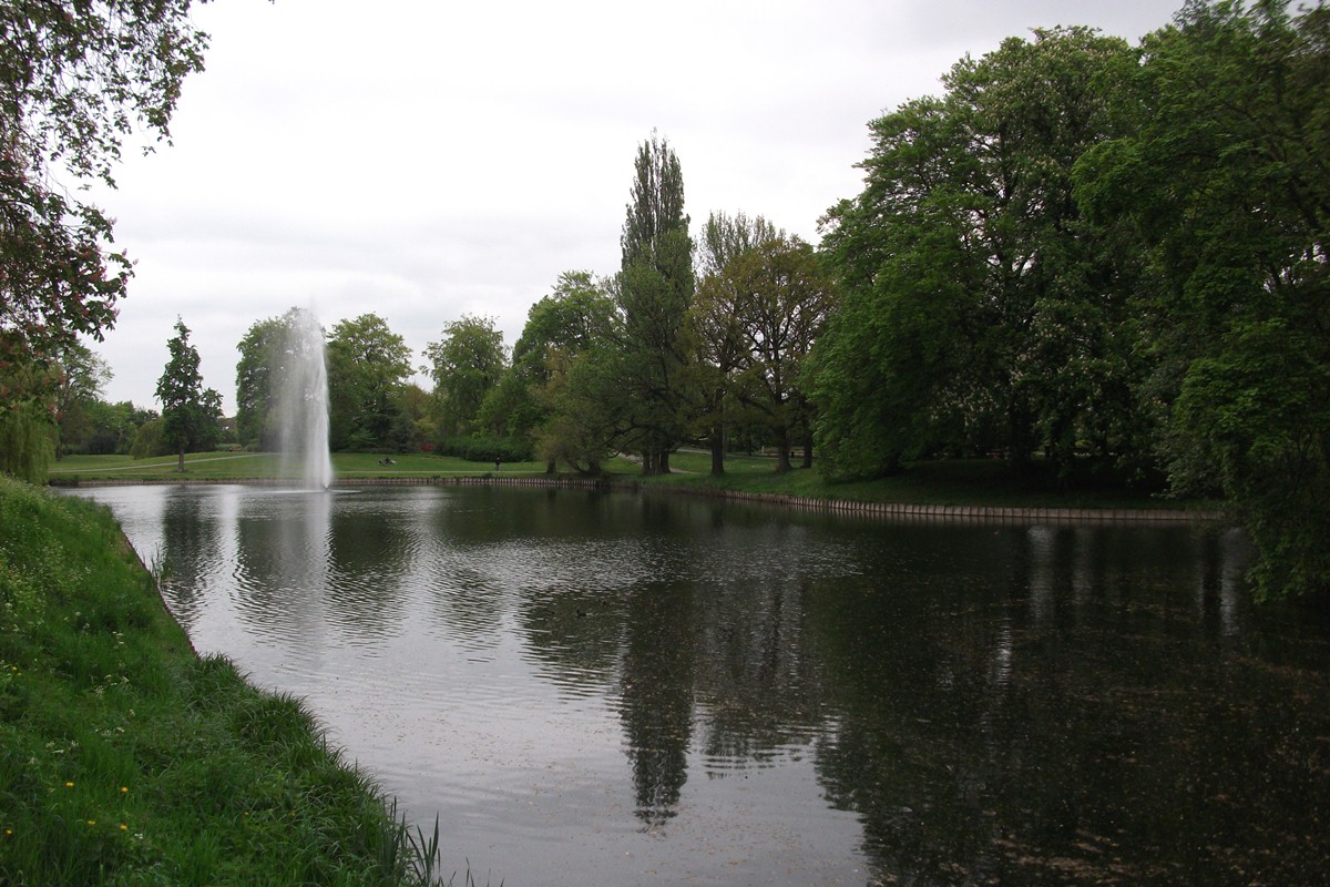 Het vogeleiland