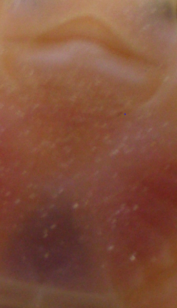 Rara wat is dit?