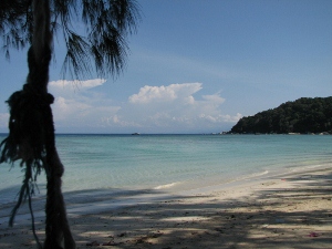 Flora Bay.jpg