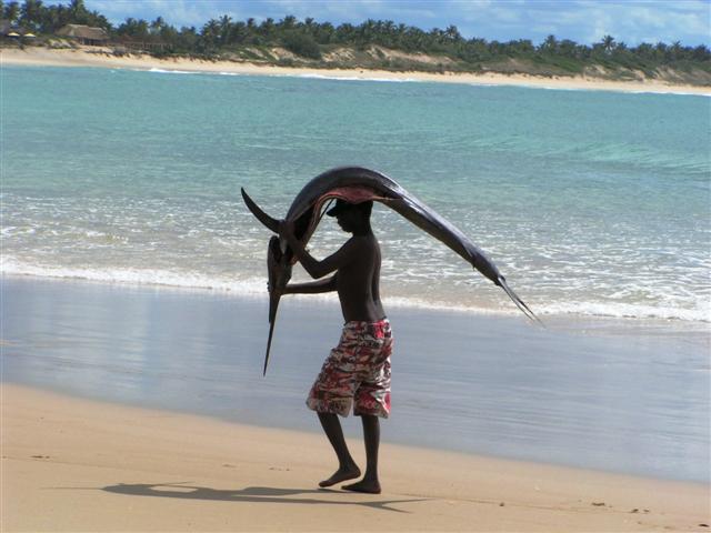 rara.jpg
