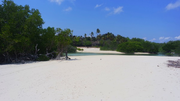 Rote island West Timor 04.jpg