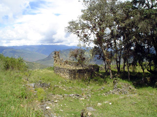 DSC00609.jpg
