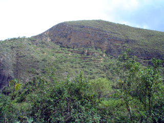 DSC00605.jpg