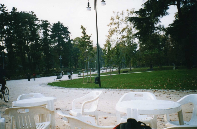 Rara2.jpg