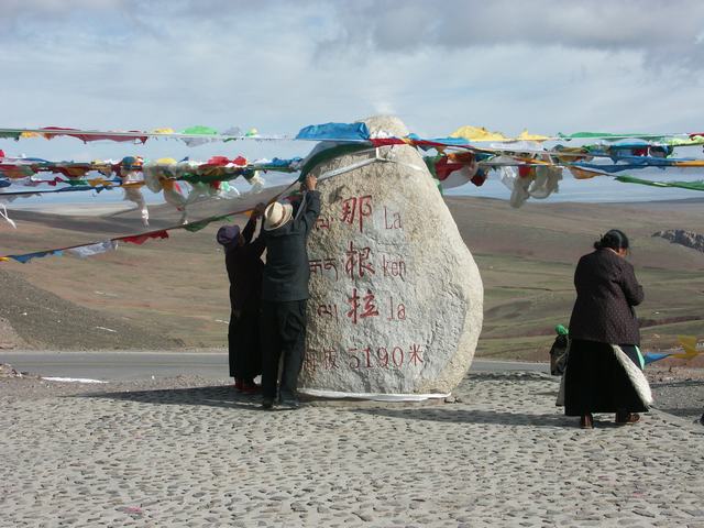 IMG1.jpg