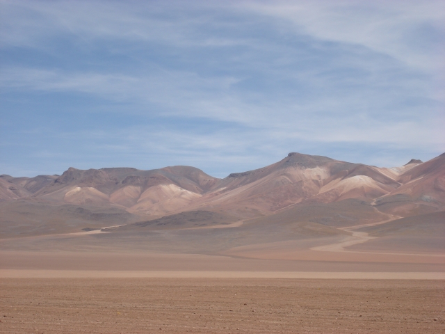 DSC01164.jpg