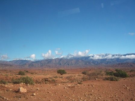 rara.jpg