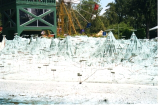 Rara.jpg