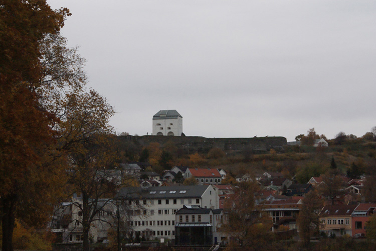 DSC02203.jpg
