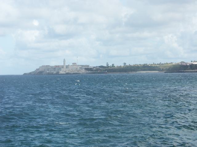 IMG1.jpg