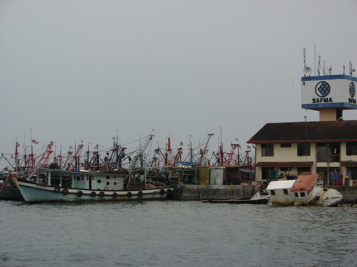 rara1.jpg