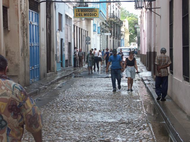 IMG1.jpg