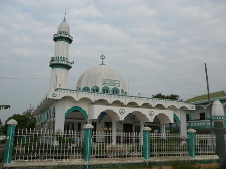 P1020027.JPG