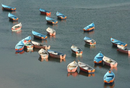 rara.jpg