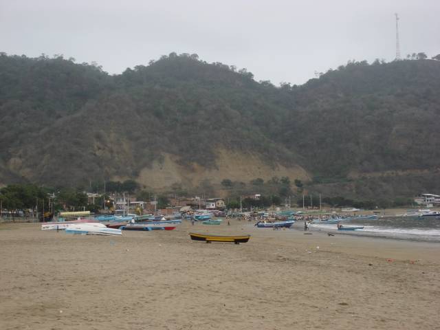 DSC00445.jpg