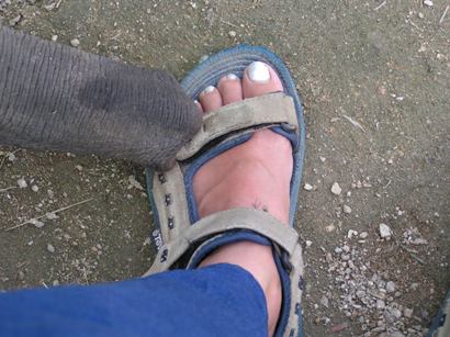 PICT2807.JPG
