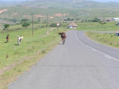lesotho 10 2004 367.jpg
