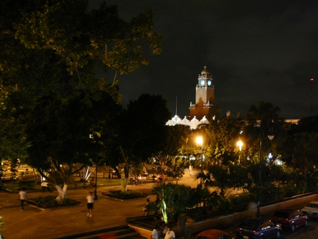 P1010074.JPG