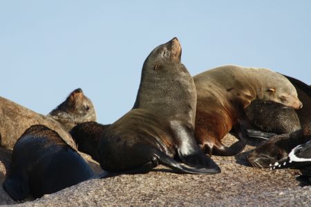 IMG_8486.jpg