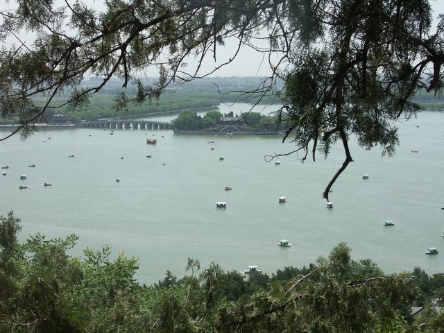 IMG1.jpg