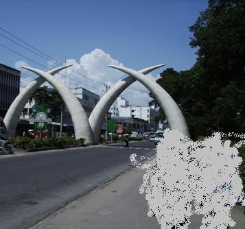 rara.JPG