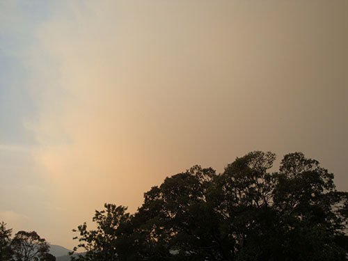 bushfire.jpg