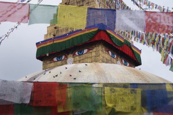 Herschaalde kopie van India & Nepal (350).jpg