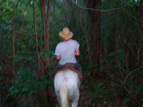 Te paard door de jungle in Brazilië